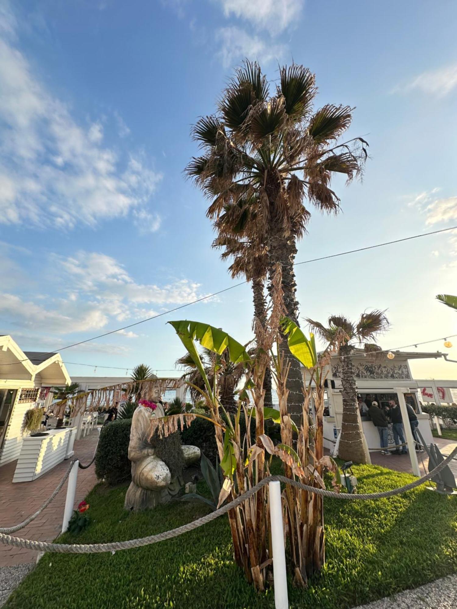Apartament Penthouse Salus Sea View Terrace Lido di Ostia Zewnętrze zdjęcie